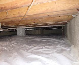 Crawl Space After