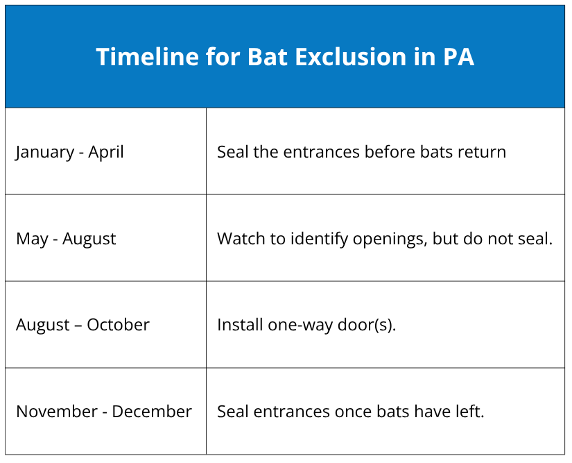Timeline for Bat Exclusion in PA.