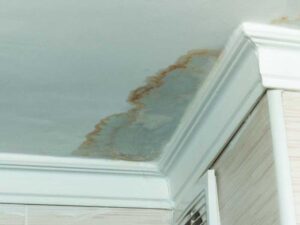 Inner corner of ceiling showing water damage.